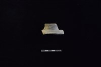 藏品(陶罐)的圖片